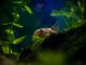 Good deal: Amazon Pet Festival deals for fish owners Amazon Pet Festival
