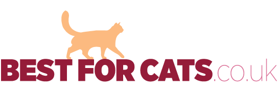 Best For Cats | Best for cat news, reviews, products and articles