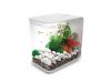 Quick look: the biOrb Flow Aquarium biOrb Flow Aquarium, 30 Litre, White, LED Light