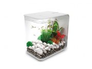Quick look: the biOrb Flow Aquarium biOrb Flow Aquarium, 30 Litre, White, LED Light