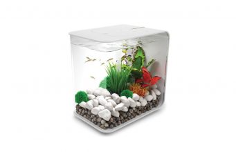 Quick look: the biOrb Flow Aquarium biOrb Flow Aquarium, 30 Litre, White, LED Light