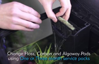 Video: How to use Insight Aquacare Reminder System