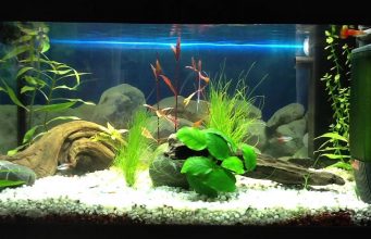 The Eheim Pick-Up Internal Filter 2012 (100-200 Litre)